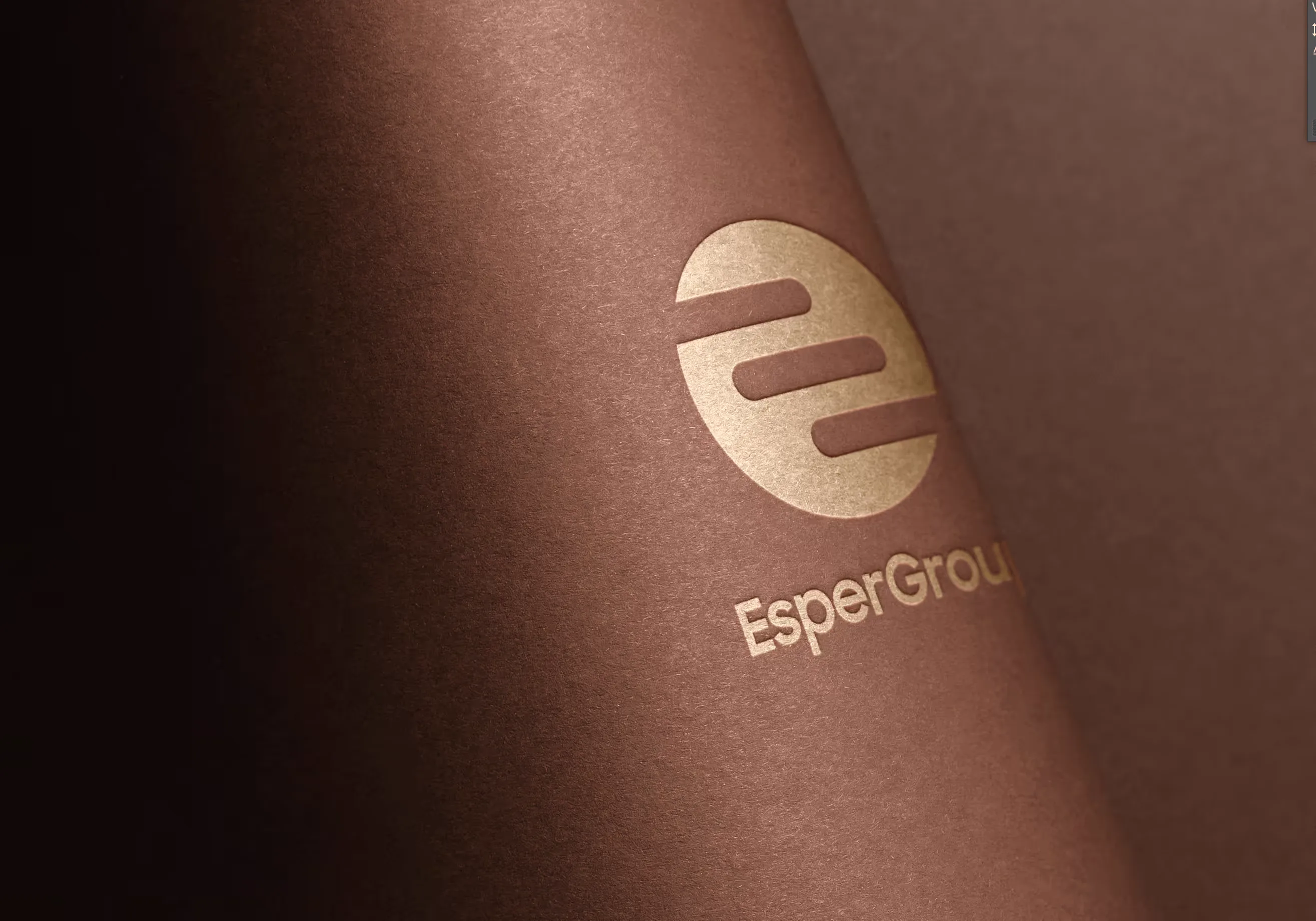 EsperGroup strategy and innovation